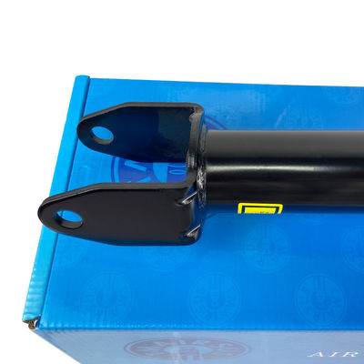 ربيع لفائف تيسلا 3 طراز Y 104409200A Strut Assy RWD Strut الريحية